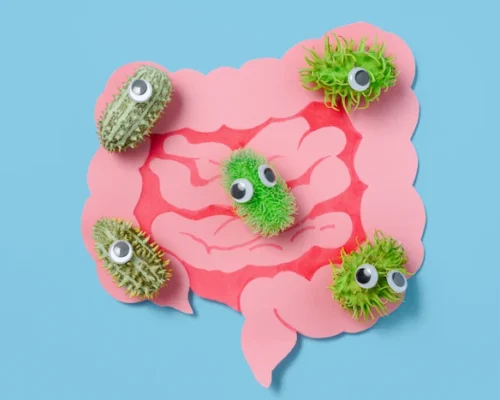 El eje intestino-cerebro y la microbiota intestinal: una conexión vital para la salud